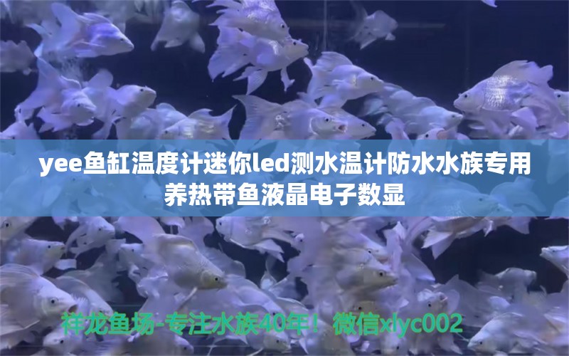 yee鱼缸温度计迷你led测水温计防水水族专用养热带鱼液晶电子数显