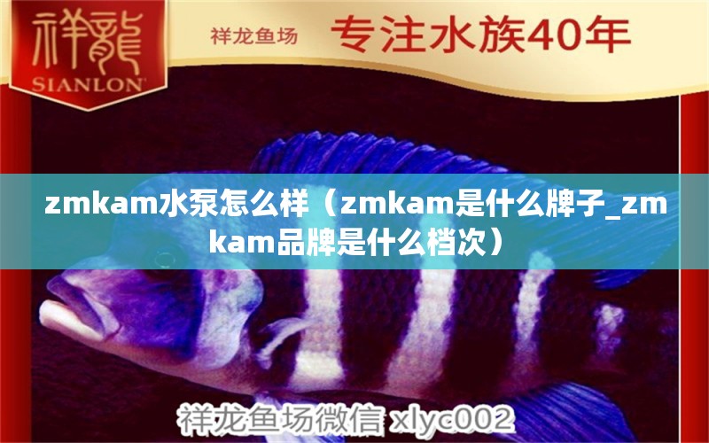 zmkam水泵怎么样（zmkam是什么牌子_zmkam品牌是什么档次）