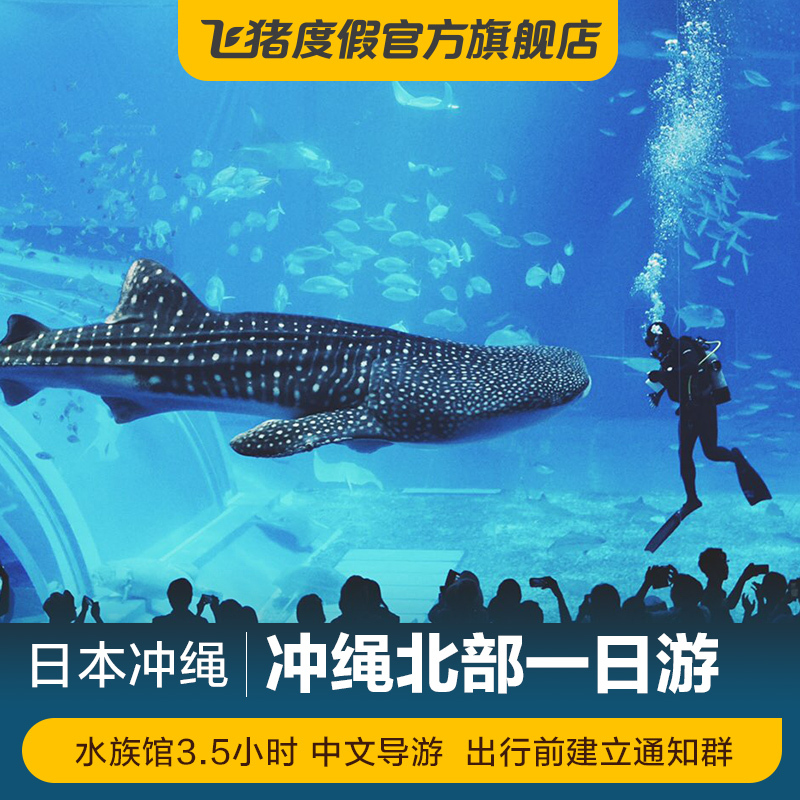 纯白灯拍摄的鱼 水族用品 第2张