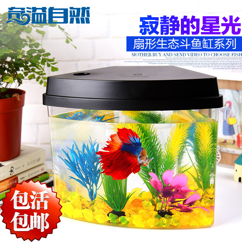 国粹兰寿金鱼 水族用品 第2张