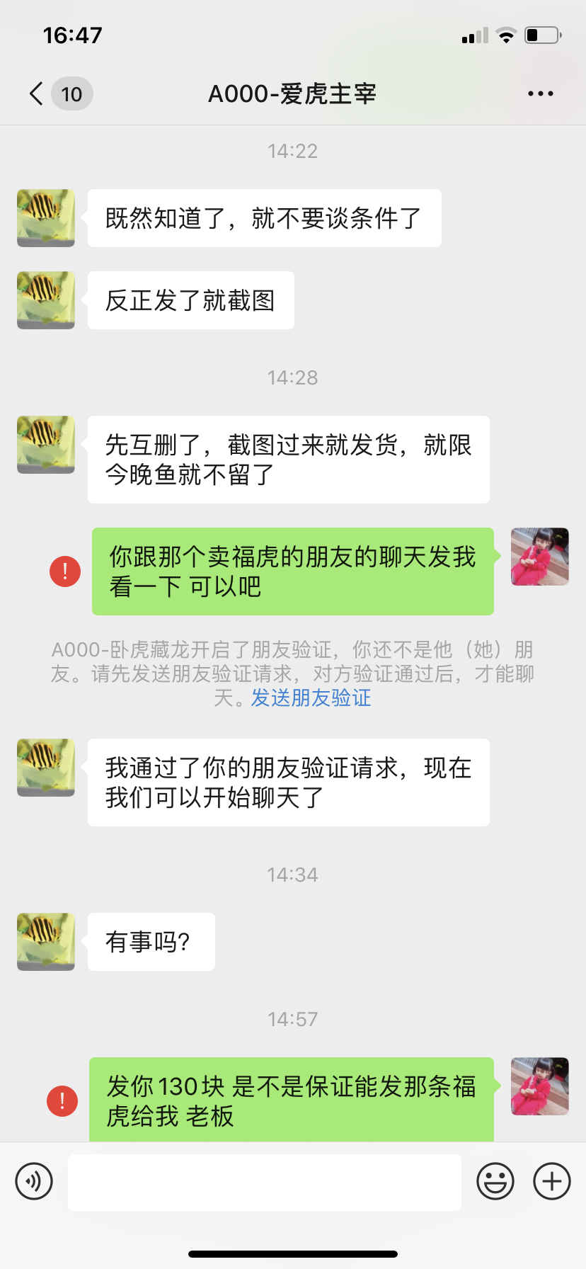 头像换了虎友们注意了 泰庞海莲鱼 第3张