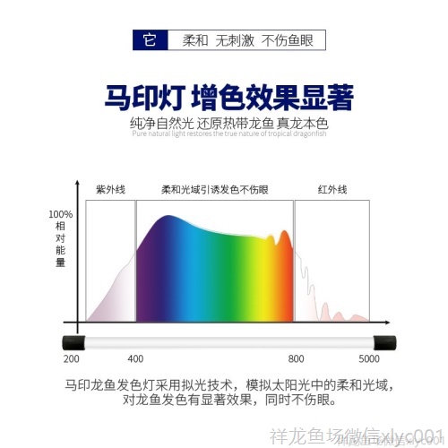 马印龙鱼灯管红金龙鱼专用灯T5潜水灯鱼缸水族防水灯照明灯水中灯 马印水族 第2张