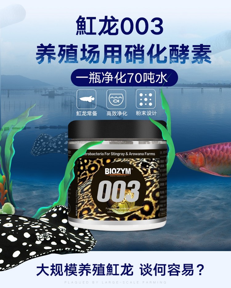 百因美魟鱼龙鱼硝化酵素水族硝化细菌活性消化菌大水体养殖专用 硝化细菌 第11张