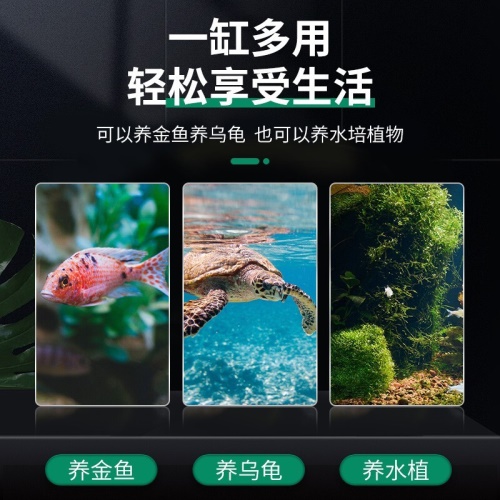 智汇玻璃鱼缸圆形水族箱客厅家用小鱼缸带造景金鱼缸鼓缸迷你桌面创意乌龟缸加厚透明草缸20鼓缸+造景套装（彩石+水草+扇贝+贝壳） 乌龟 第4张