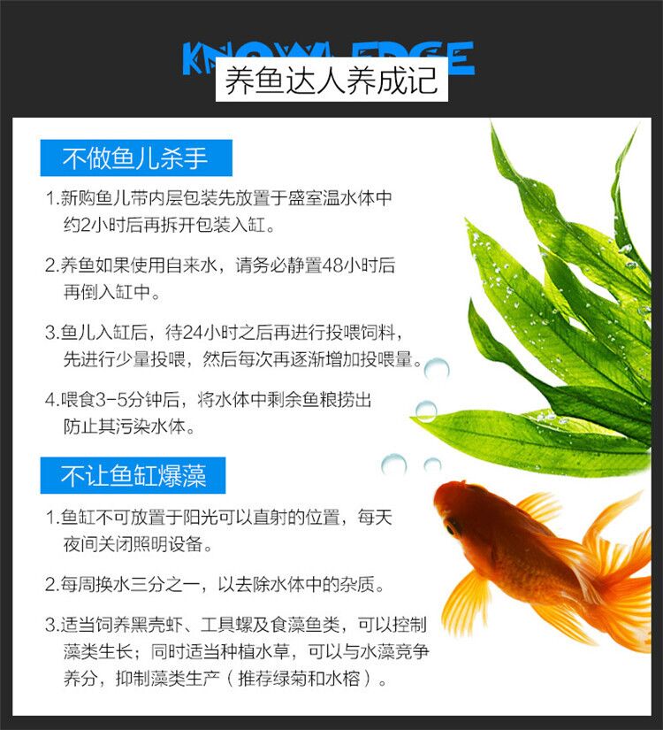 森森（SUNSUN）超白桌面小鱼缸生态玻璃缸水草缸客厅造景金鱼缸长方形HWK:600P单缸（600320320mm） 水草 第80张