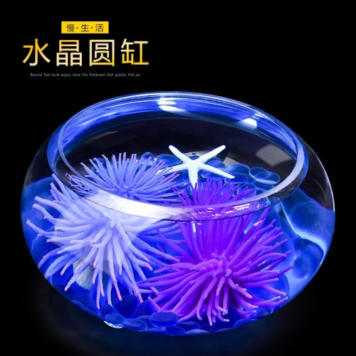 喜莱卡水族箱办公桌面透明鱼缸椭圆金鱼缸创意小型造景生态圆形鱼缸客梯家用浮法玻璃鱼缸热带鱼缸懒人鱼缸 鱼缸/水族箱 第6张