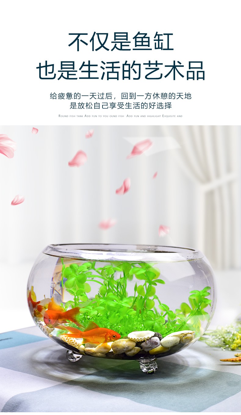 喜莱卡水族箱办公桌面透明鱼缸椭圆金鱼缸创意小型造景生态圆形鱼缸客梯家用浮法玻璃鱼缸热带鱼缸懒人鱼缸 鱼缸/水族箱 第105张