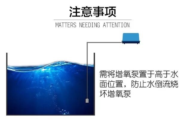 美国贝立海PERIHA鱼缸氧气泵静音大功率池塘氧气泵增氧机供氧机 垂钓乐园 第37张