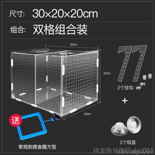 孔雀鱼繁殖盒孵化盒亚克力鱼缸隔离盒产卵器鱼卵繁殖箱小鱼产房 祥龙传奇品牌鱼缸 第11张