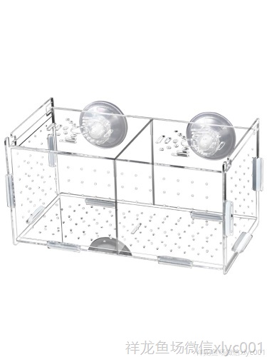 孔雀鱼繁殖盒孵化盒亚克力鱼缸隔离盒产卵器鱼卵繁殖箱小鱼产房