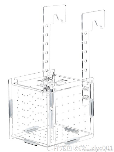 孔雀鱼繁殖盒孵化盒亚克力鱼缸隔离盒产卵器鱼卵繁殖箱小鱼产房 祥龙传奇品牌鱼缸 第5张