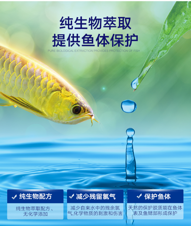 百因美鱼缸专用水质稳定剂自来水除氯剂水质安定剂水族换水除氯气 奈及利亚红圆点狗头 第20张