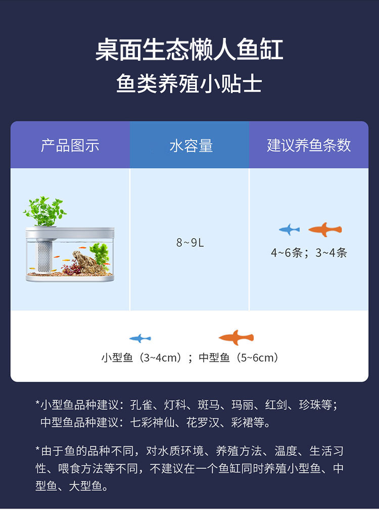 画法几何桌面生态懒人鱼缸C180基础款上过滤带灯底砂棉支持一键换水USB供电长29cm长 银河星钻鱼 第103张