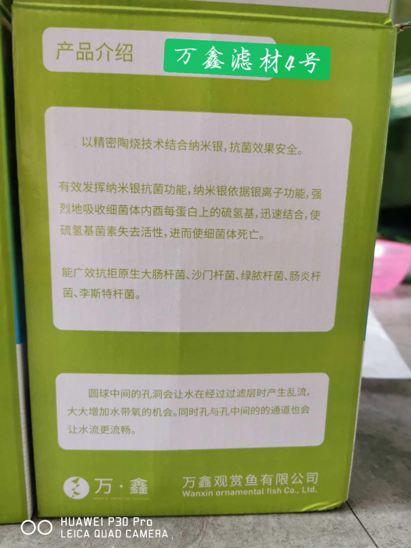 高端鱼的必备品 埃及神仙鱼 第4张