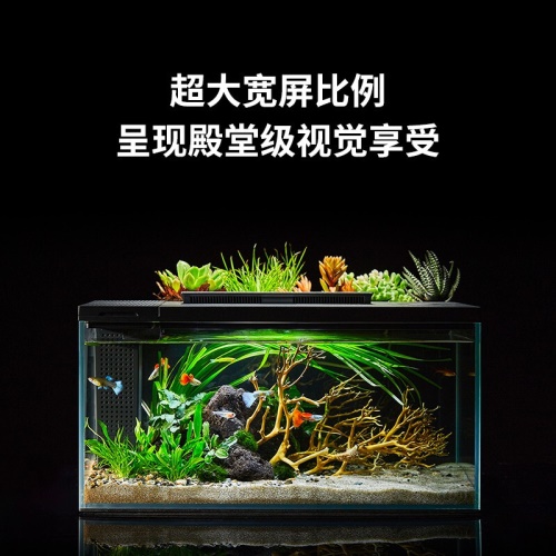 小佩起源纪鱼缸超白玻璃水族箱桌面客厅小米家用造景生态金鱼缸 鱼缸/水族箱 第8张