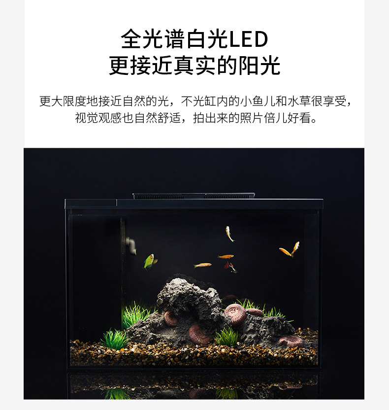 小佩起源纪鱼缸超白玻璃水族箱桌面客厅小米家用造景生态金鱼缸 鱼缸/水族箱 第110张