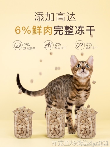 yee猫粮幼猫专用增肥发腮营养天然粮3斤英短蓝猫冻干15KG包邮 yee 第1张