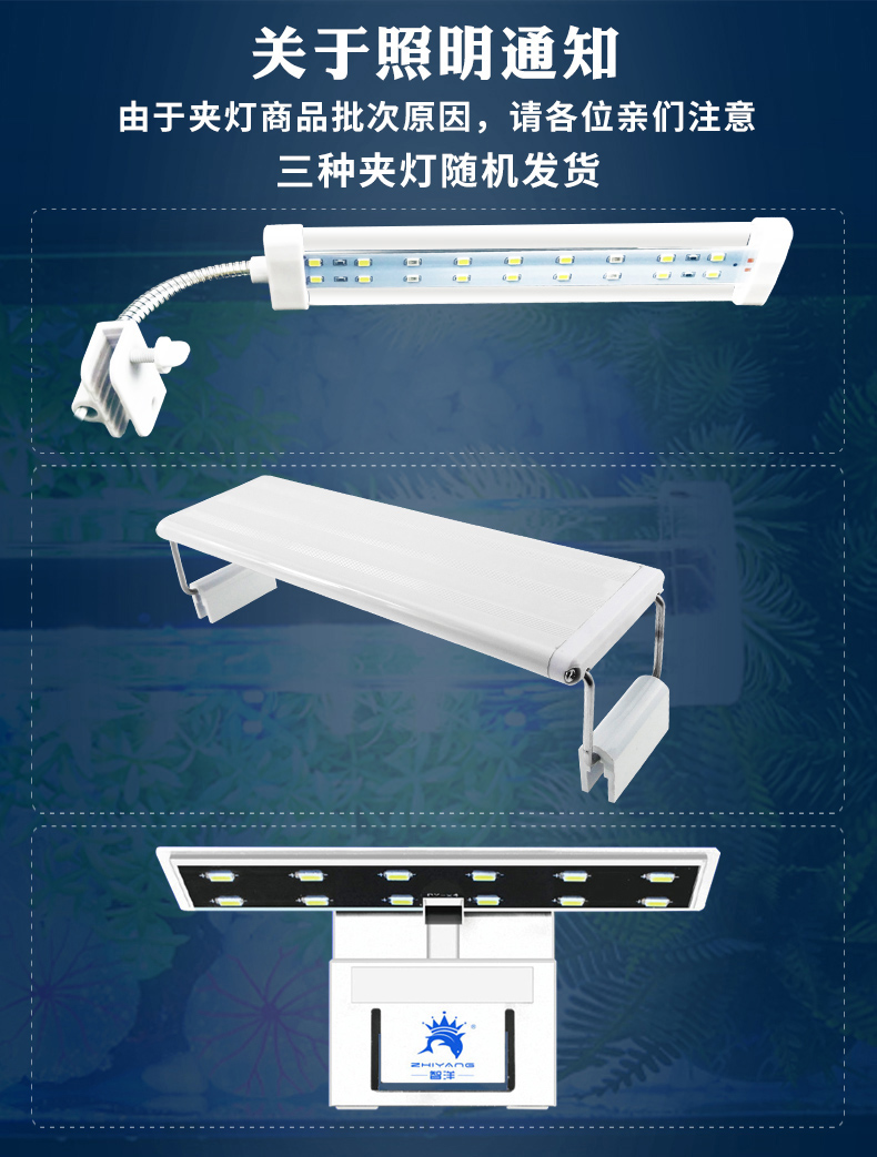 SEASTAR鱼缸桌面透明热弯方形玻璃生态金鱼缸乌龟缸客厅小型迷你办公桌水族箱 乌龟 第101张