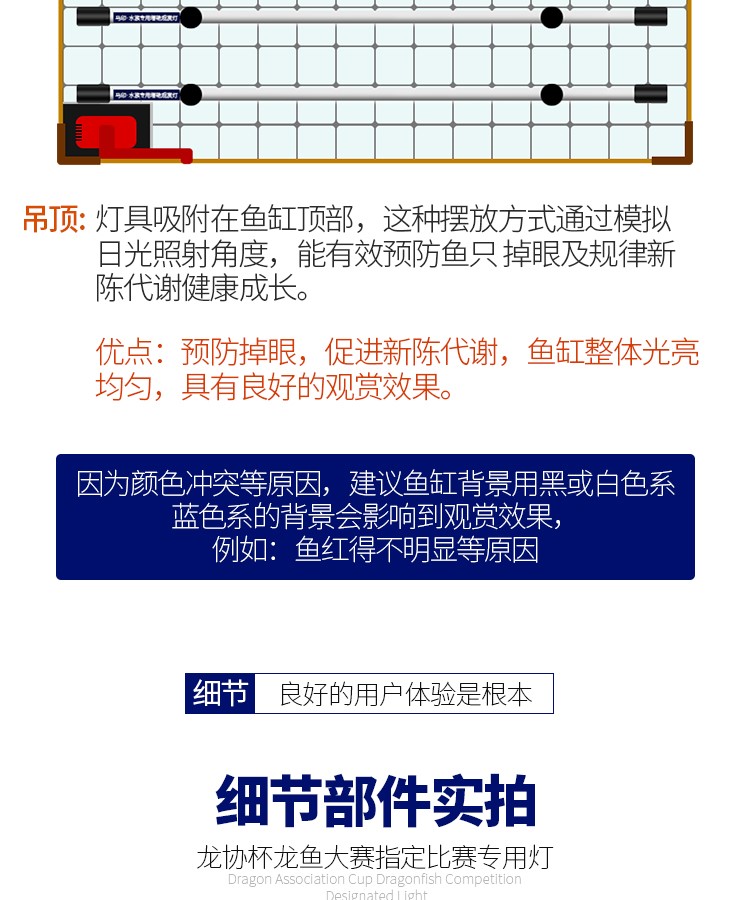 马印龙鱼增艳灯亮彩灯红龙灯马印神灯马印红龙灯 马印水族 第24张