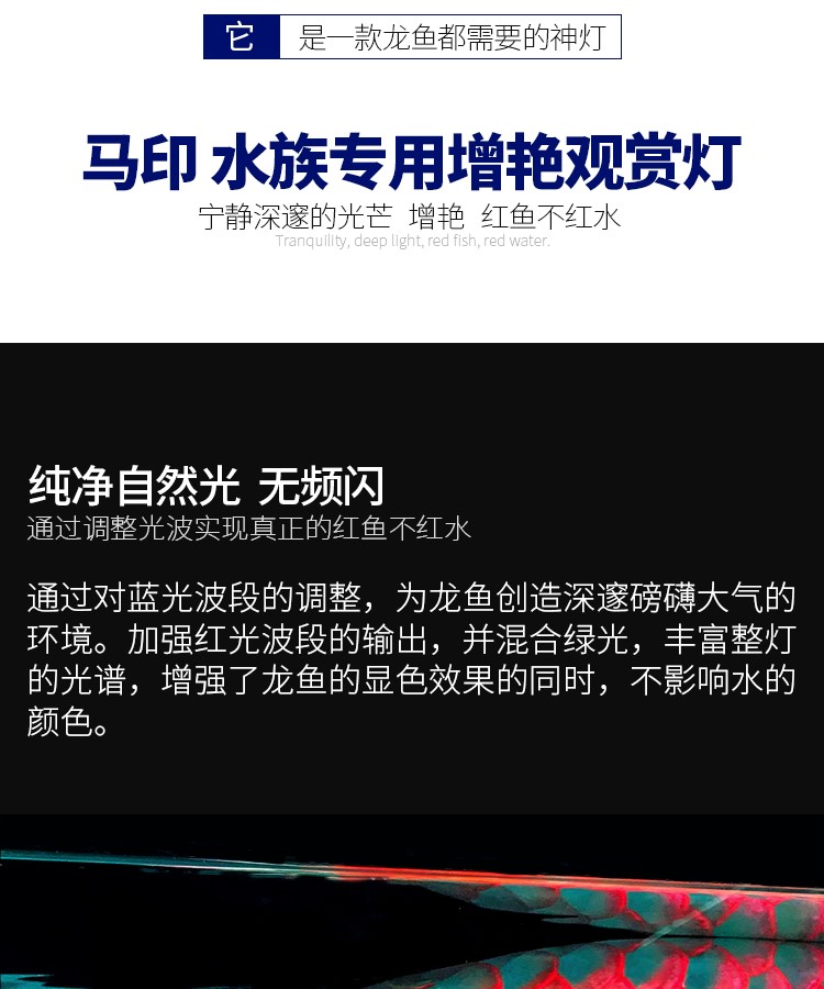 马印龙鱼增艳灯亮彩灯红龙灯马印神灯马印红龙灯 马印水族 第12张