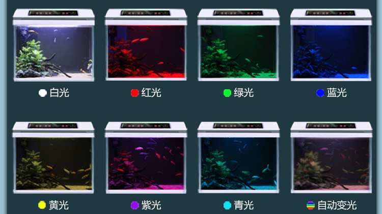 鱼缸水族箱金鱼缸超白玻璃鱼缸水族箱客厅桌面创意小型金鱼缸家用生态免换水金鱼缸MinkSheen 鱼缸/水族箱 第66张