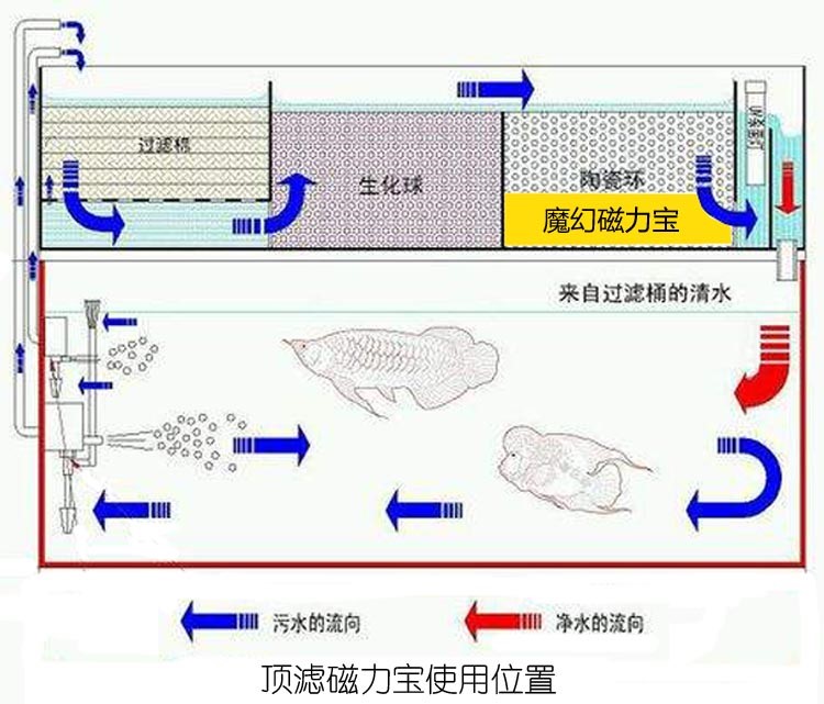 魔幻磁力宝滤材鱼缸硝化细菌屋过滤材料上滤底滤侧滤鱼缸过滤材料 硝化细菌 第13张