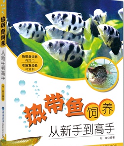 人生如鱼永不被束缚永不歇足 水族维护服务（上门） 第3张