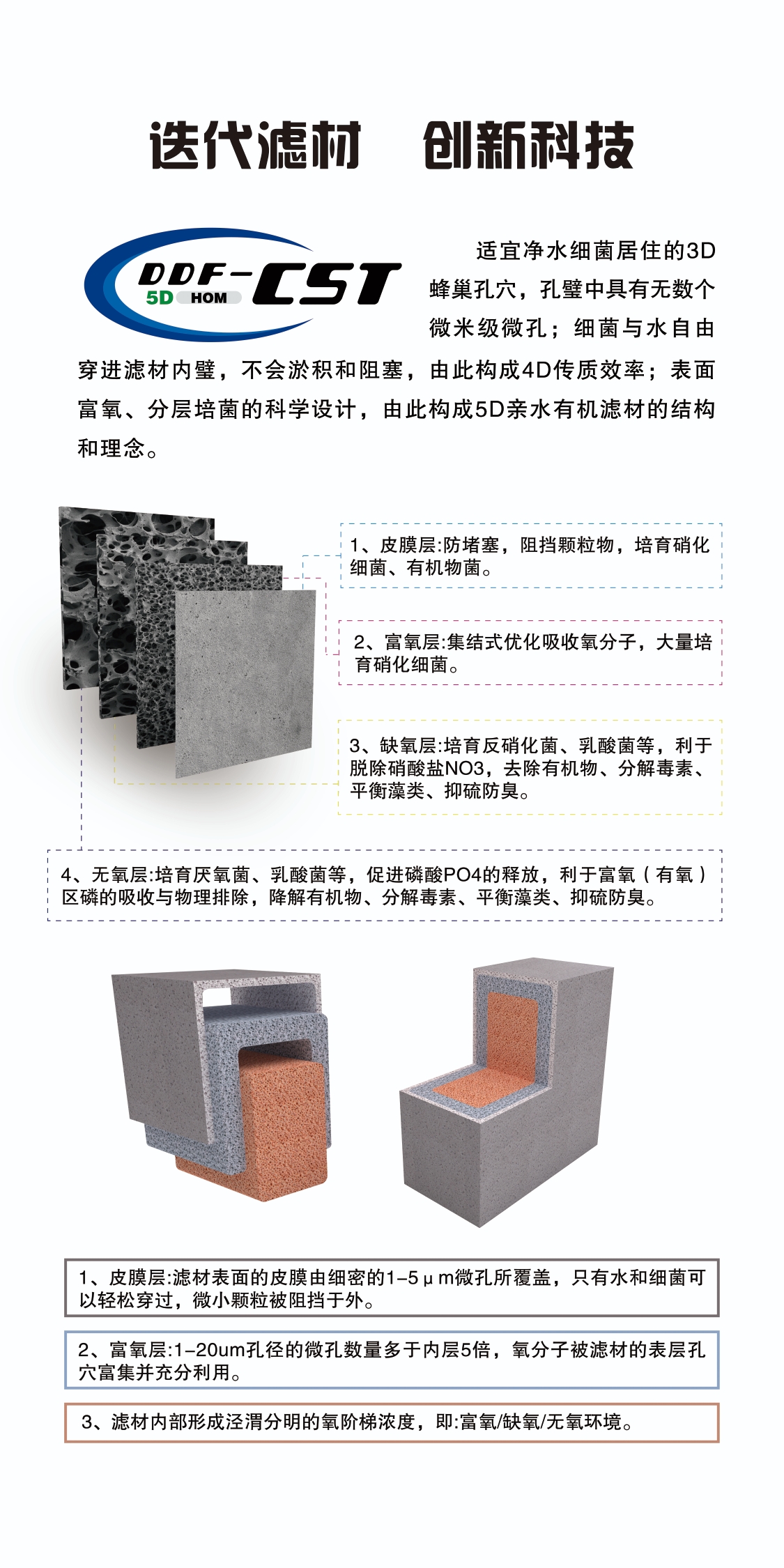 小嘟同学日常被催着营业 玫瑰银版鱼 第1张