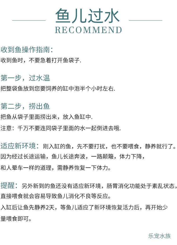 冷水观赏鱼狮子头金鱼活体好养耐活淡水大中小型鱼苗宠物鱼珍珠碟尾鎏金兰寿金鱼活体鱼苗 其它水族用具设备 第126张