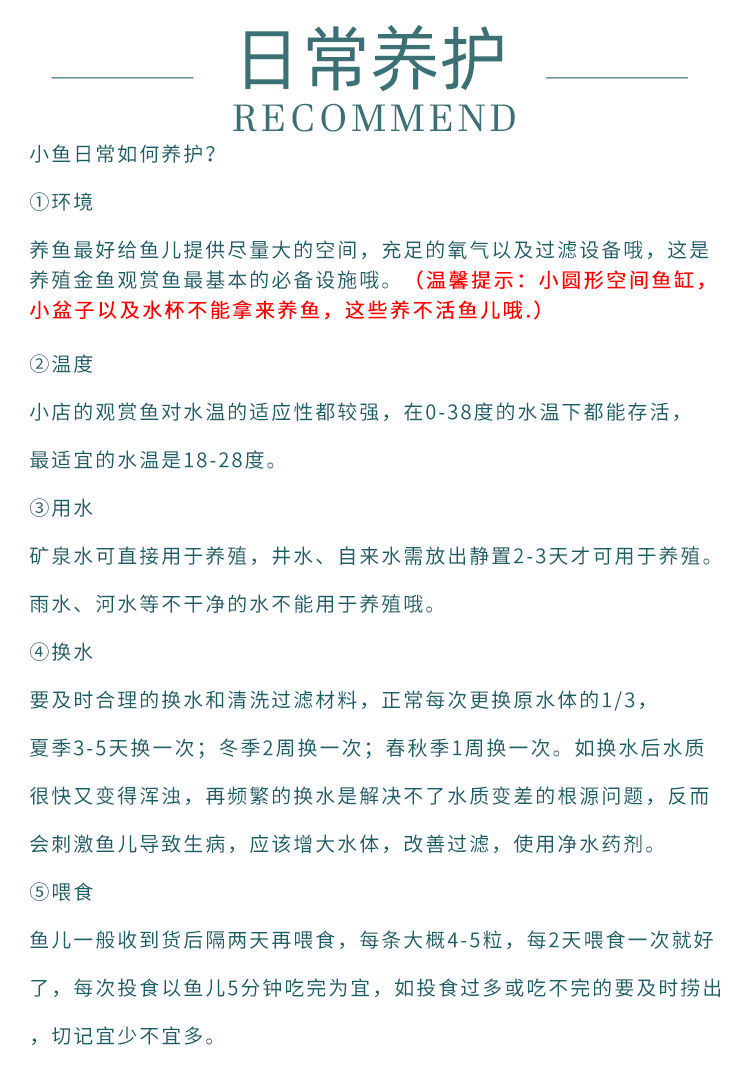 冷水观赏鱼狮子头金鱼活体好养耐活淡水大中小型鱼苗宠物鱼珍珠碟尾鎏金兰寿金鱼活体鱼苗 其它水族用具设备 第127张