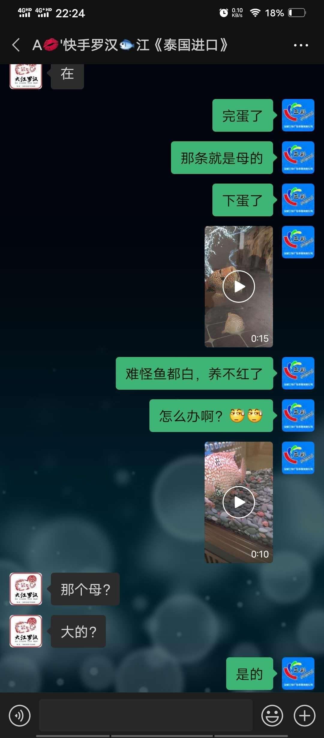 揭露一个黑心鱼商 印尼三纹虎 第6张