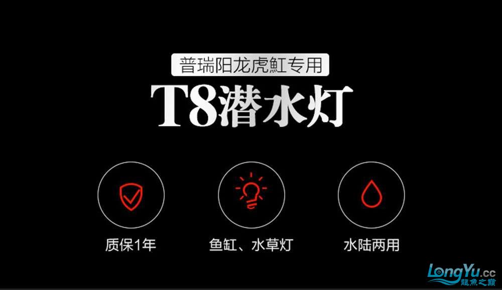 摇一摇第九期中奖名单公布 水族用品 第17张