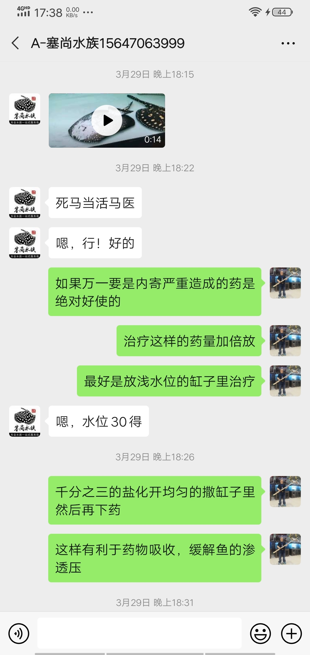 救治翻盘魟鱼 祥龙蓝珀金龙鱼 第1张