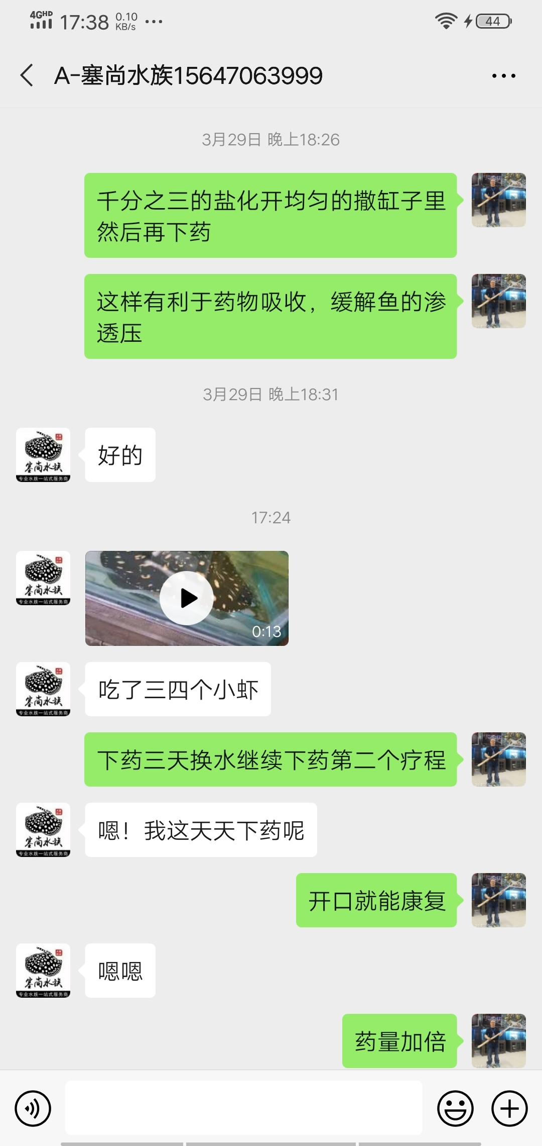 救治翻盘魟鱼 祥龙蓝珀金龙鱼 第2张