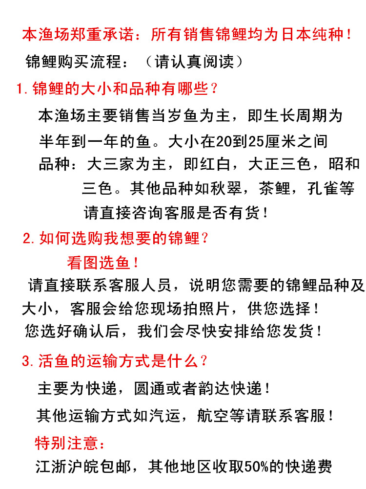 出售黑帝小鱼自己繁殖 狗头鱼 第4张