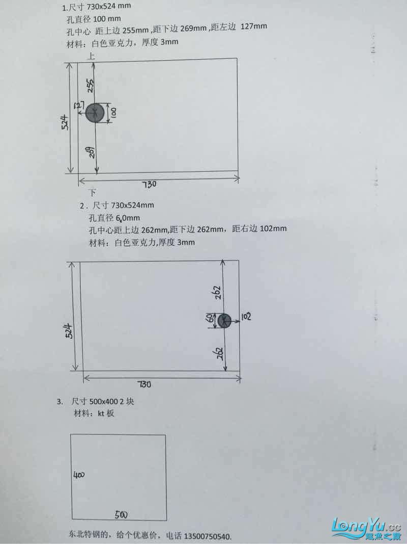 我受不了黑色的坦克了 野生埃及神仙鱼 第4张