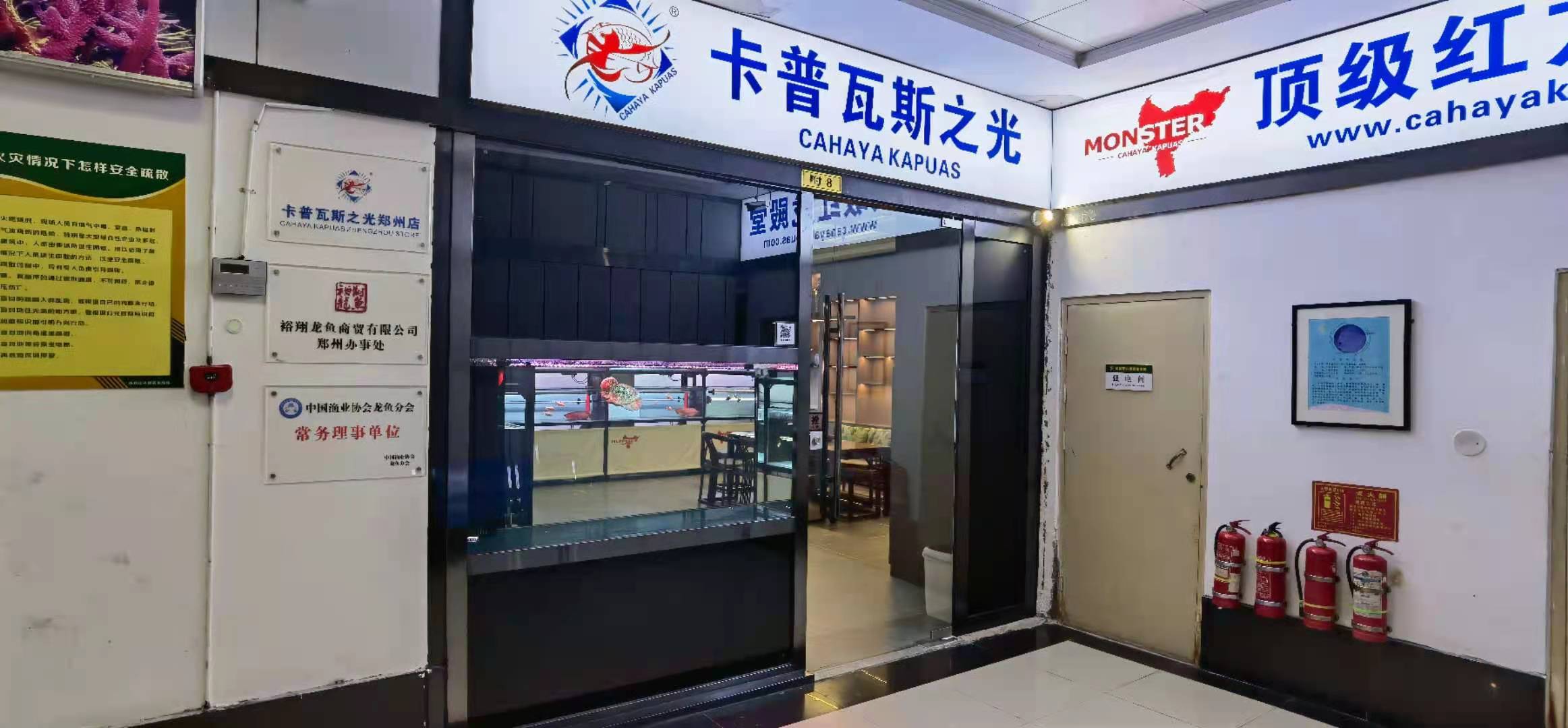 匠心铸造经典卡普瓦斯之光郑州店隆重开业 BD魟鱼 第1张