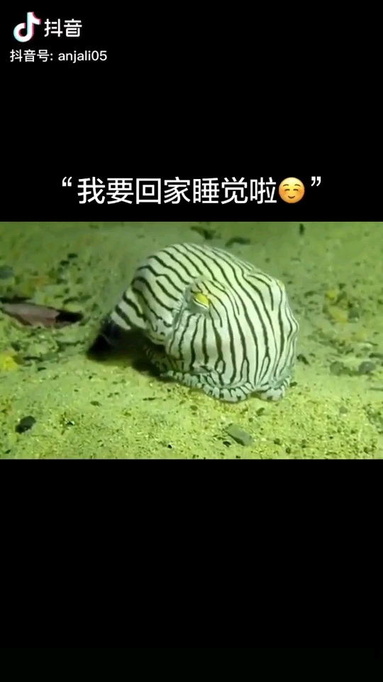 困了要睡觉