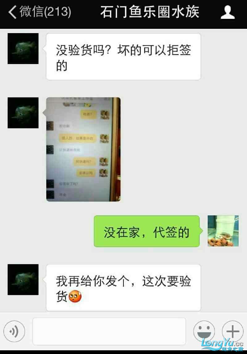 感谢石门鱼乐圈老板 黄金鸭嘴鱼 第2张