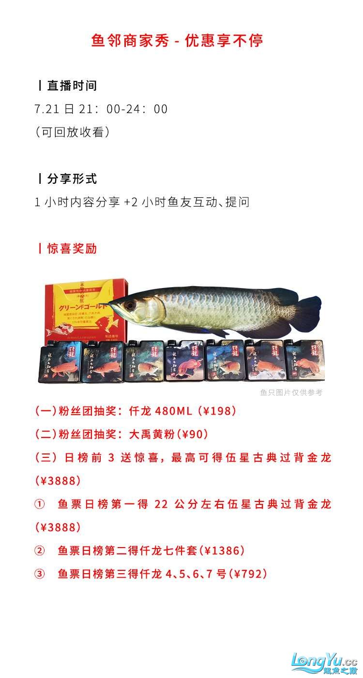 哈尔滨水族馆如何领取价值3888的伍星古典过背金龙？ 白子球鲨鱼 第4张