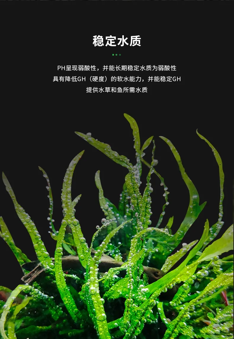 鹰潭观赏鱼市场转发海报赢尼特利水草泥 观赏鱼市场（混养鱼） 第10张