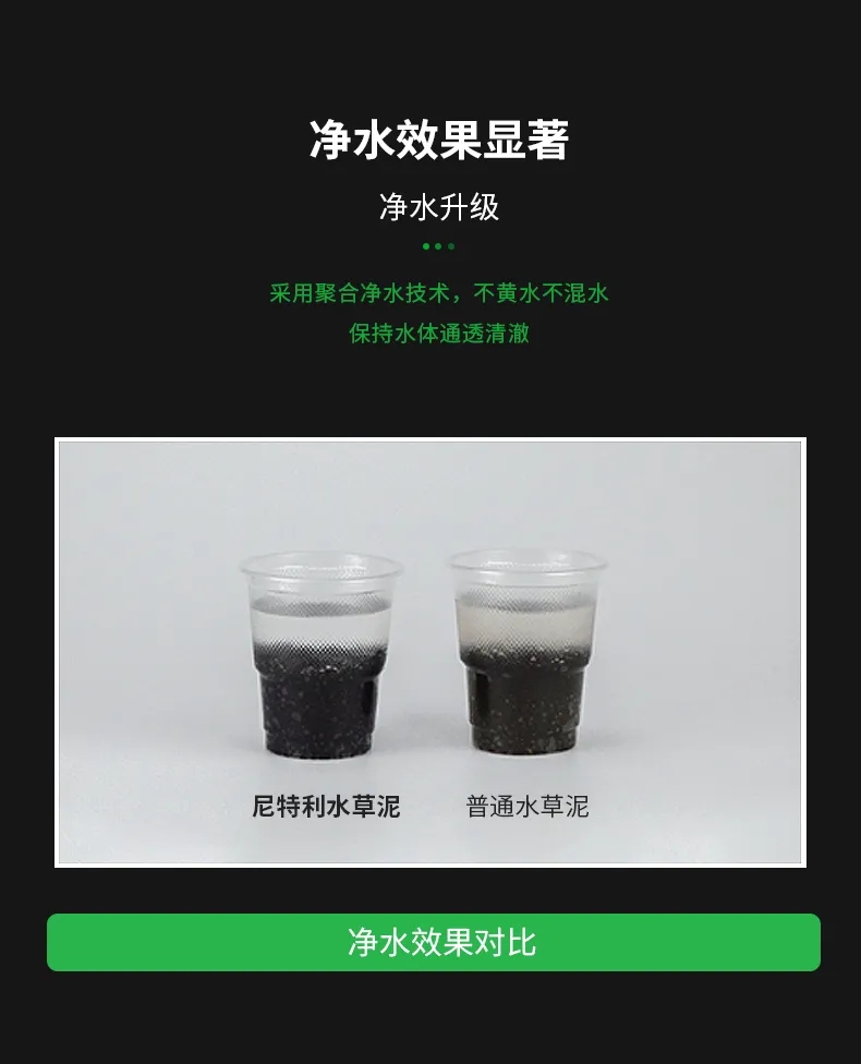 鹰潭观赏鱼市场转发海报赢尼特利水草泥 观赏鱼市场（混养鱼） 第11张