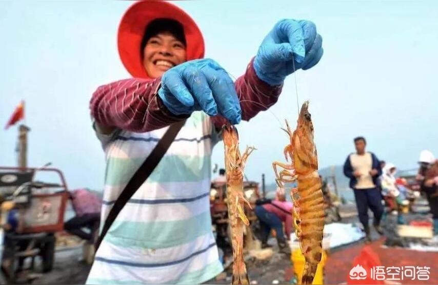 唐山水族批发市场 观赏鱼水族批发市场 第1张