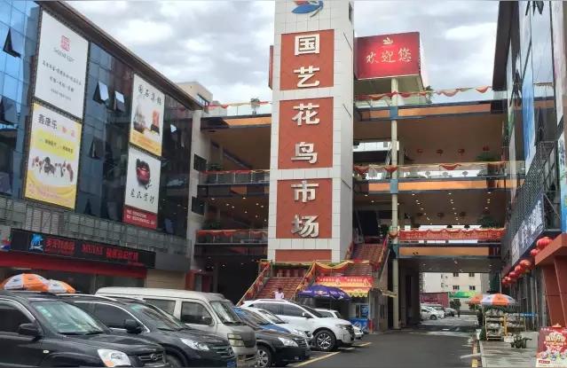 莆田花鸟鱼虫市场:普济河道花鸟市场营业时间