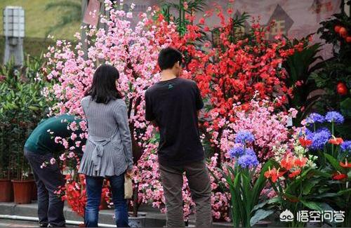 阳泉花鸟鱼虫市场:阳泉花鸟鱼市场都有哪些地方 观赏鱼企业目录