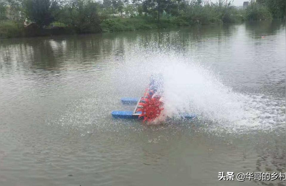 海西蒙古族藏族自治州鱼池水泵设备:鱼池底排管用25的适合多大的水泵