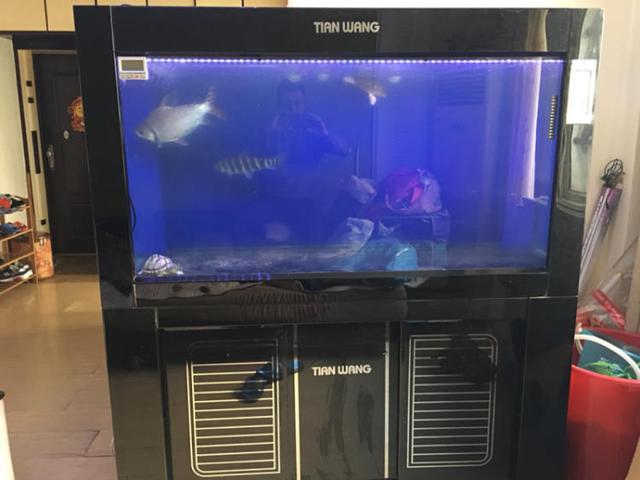 本溪鱼缸水族箱批发市场