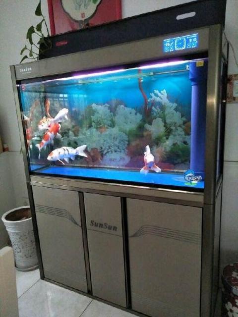 德州鱼缸水族箱批发市场