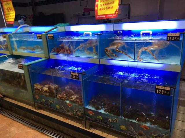 武汉鱼缸水族箱批发市场