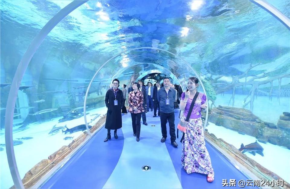 西双版纳傣族自治州鱼缸水族箱批发市场 鱼缸/水族箱